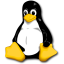 rkCSD-QuickSupport für Linux