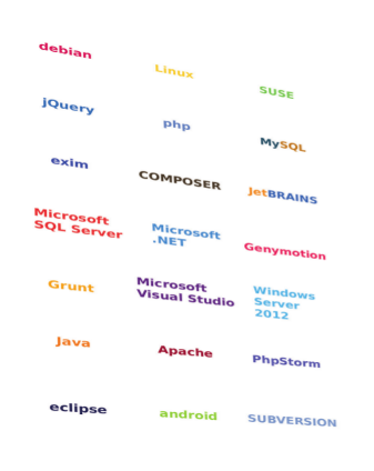 SAP, Microsoft Office, eclipse, MySQL, PHP, Apache, JetBrains, Microsoft SQL Server, TeamViewer, Subversion, Windows Server, Visual Studio, .NET, exim, Android, jQuery, PhpStorm, debian, Composer, Java, Linux, C#, SUSE Enterprise Server
